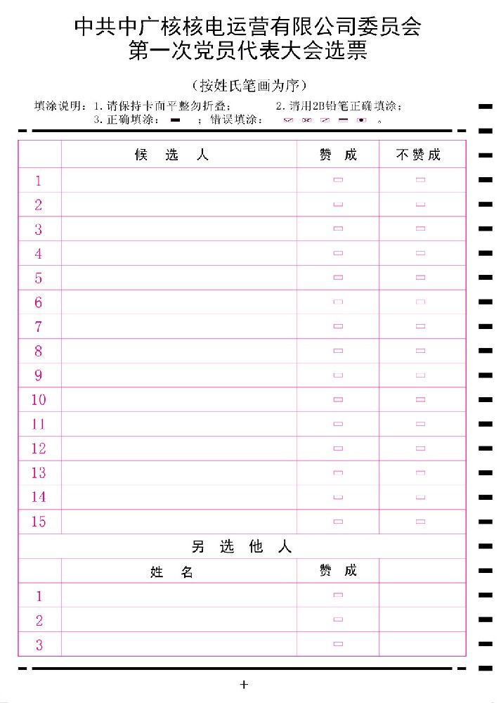 能源集團公司選舉